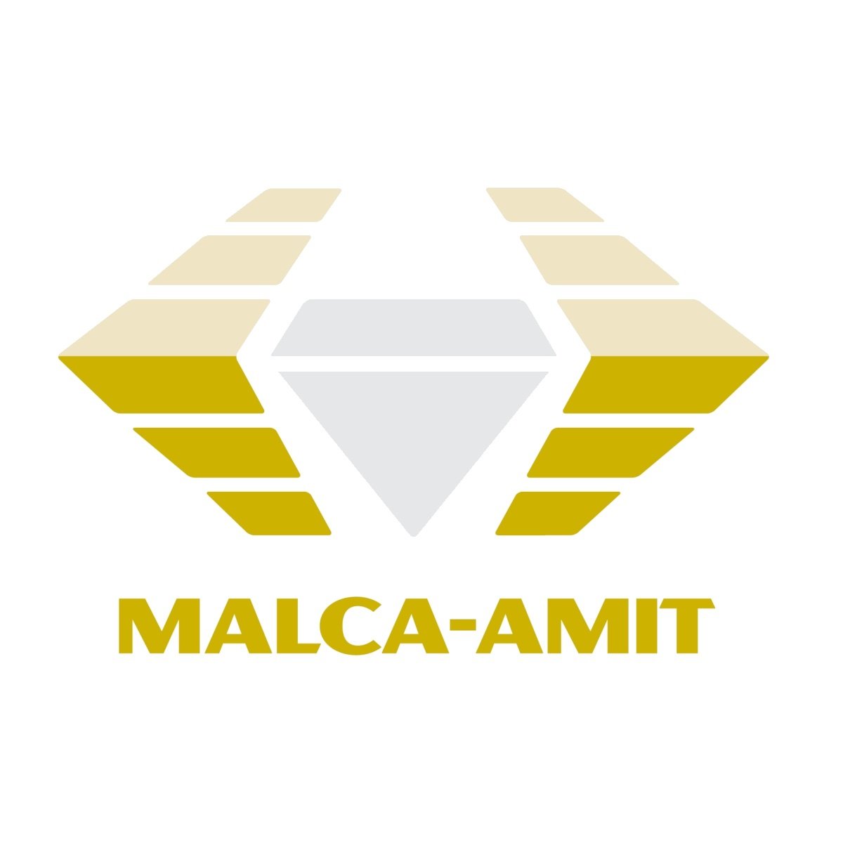 Malca-Amit Secure Logistics